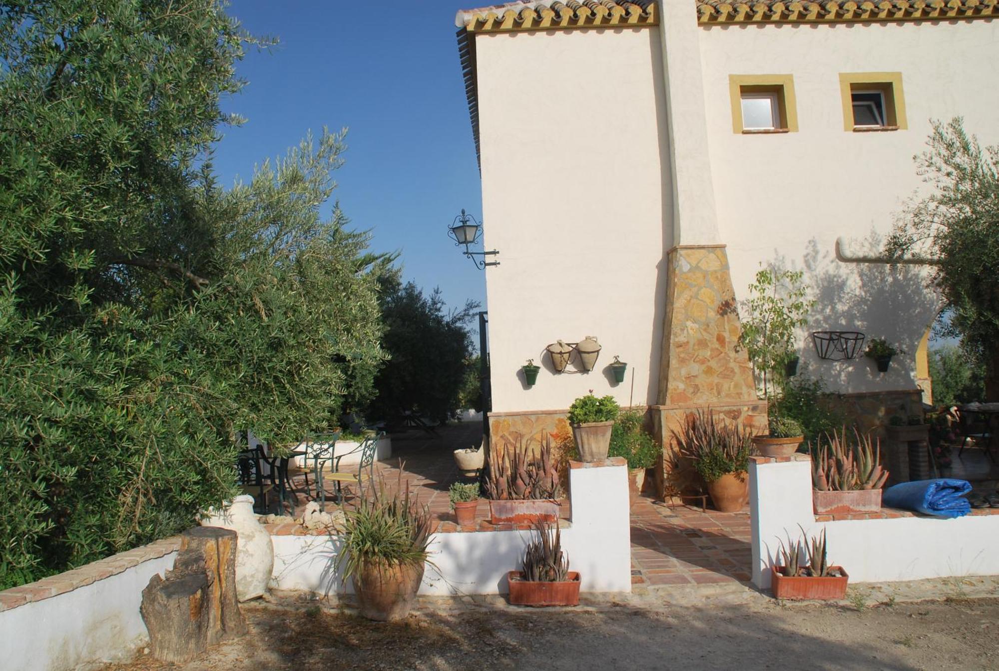 Agroturismo Ecologico El Cortijillo Luque Exterior foto