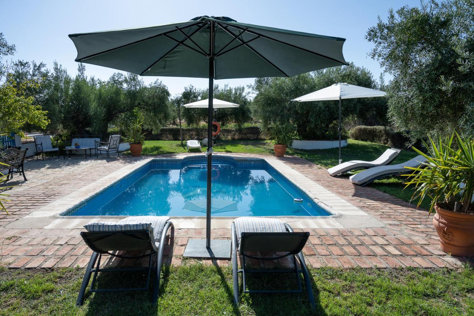Agroturismo Ecologico El Cortijillo Luque Exterior foto
