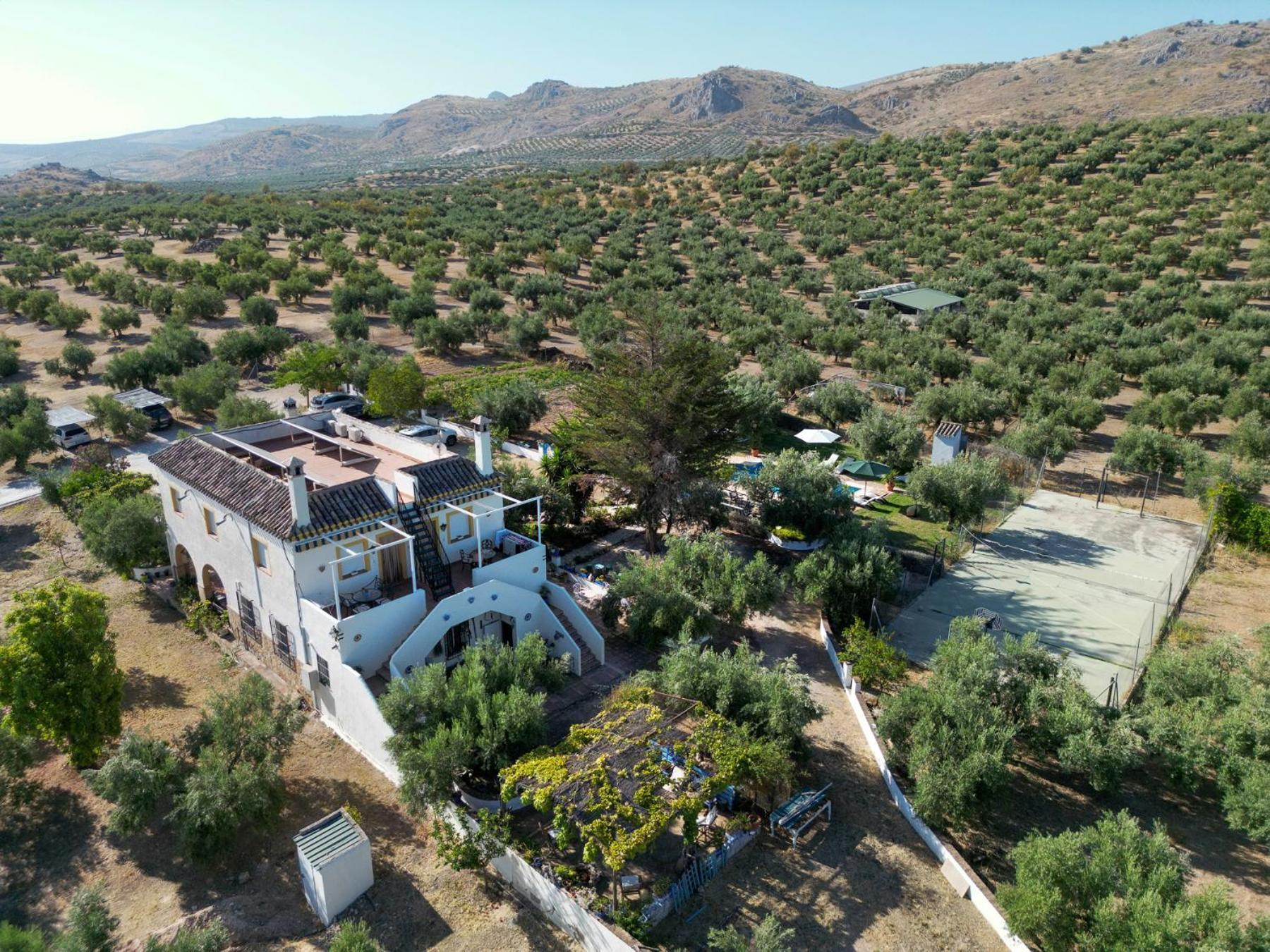 Agroturismo Ecologico El Cortijillo Luque Exterior foto