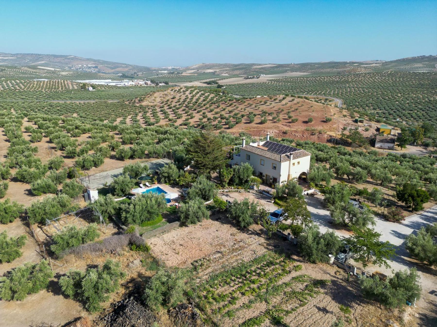 Agroturismo Ecologico El Cortijillo Luque Exterior foto