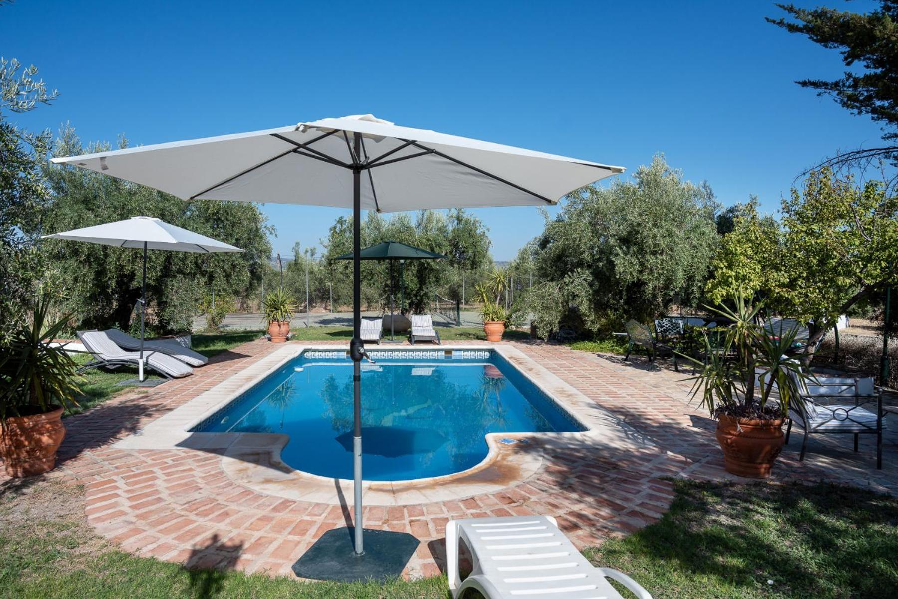 Agroturismo Ecologico El Cortijillo Luque Exterior foto