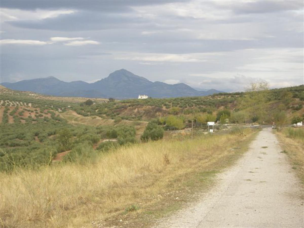 Agroturismo Ecologico El Cortijillo Luque Exterior foto